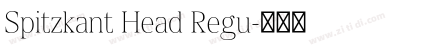 Spitzkant Head Regu字体转换 Spitzkant Head Regu字体转换